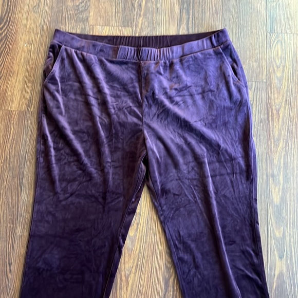 LOGO by Lori Goldstein Plumb Velour Pull-on Elastic Waist Jogger Pants 2X Petite - Picture 2 of 9
